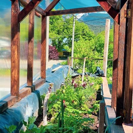Posada Del Buscador El Bolsón Εξωτερικό φωτογραφία
